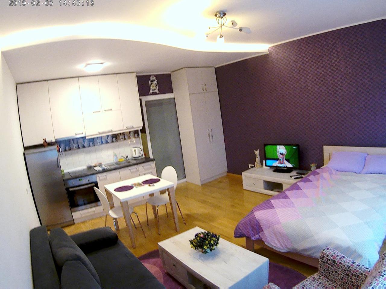Sara - Modern Apartment In The City Center 诺威萨 外观 照片